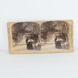Eighteen Antique Stereograph or Stereoview Cards Strohmeyer & Wyman, Publishers That Tells a Story of Love and Marriage (c. 1897)