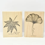 Gently Used Vintage Stampin' Up Rubber Stamps - Japanese Maple & Gingko (c. 2001)