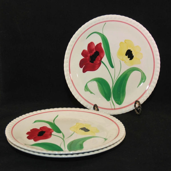 There are 3 vintage Southern Pottery Blue Ridge plates. One is in a plate holder (not included) and two are stacked in front and slightly to the left of the upright plate. The handpainted decor is the Poppy Duet pattern. The plate design is the Candlewick pattern.
