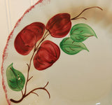 A close up of the hand painted decor on the Southern Potteries bowl. It shows 3 red crab apple's or cherries on a twig with three green leaves. The edge of the bowl is red.