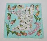 The back side of the handkerchief, the printing can be seen in reverse on this side.