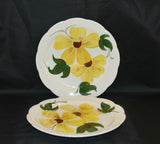 Vintage Heritage Ware Dinner Plates by Stetson, Black or Brown Eyed Susan Type Double Flower With Leaves